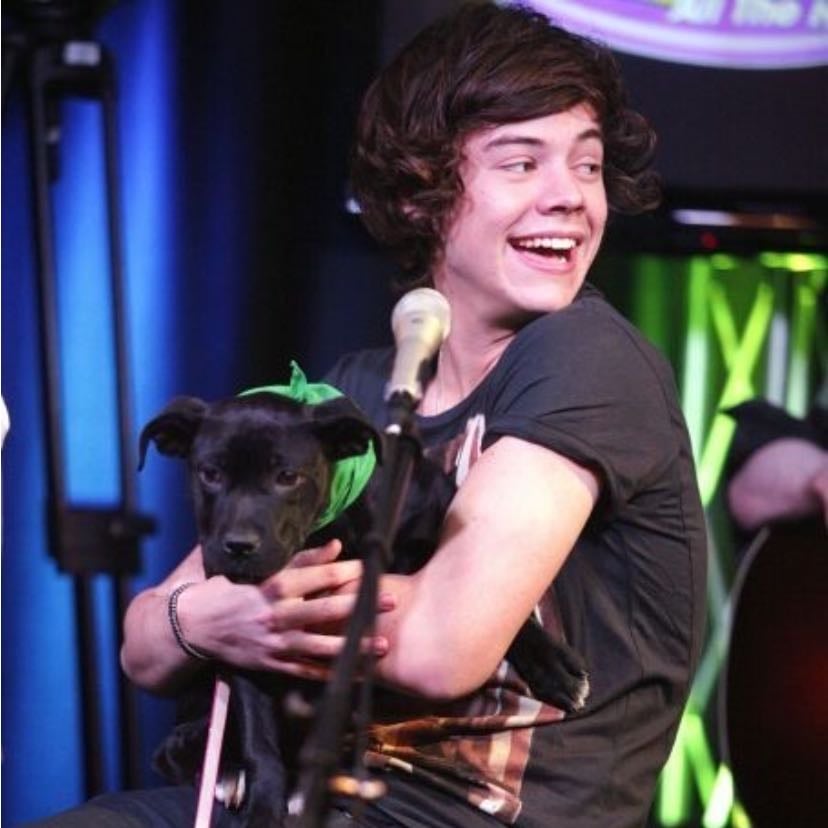 fetus harry is everything