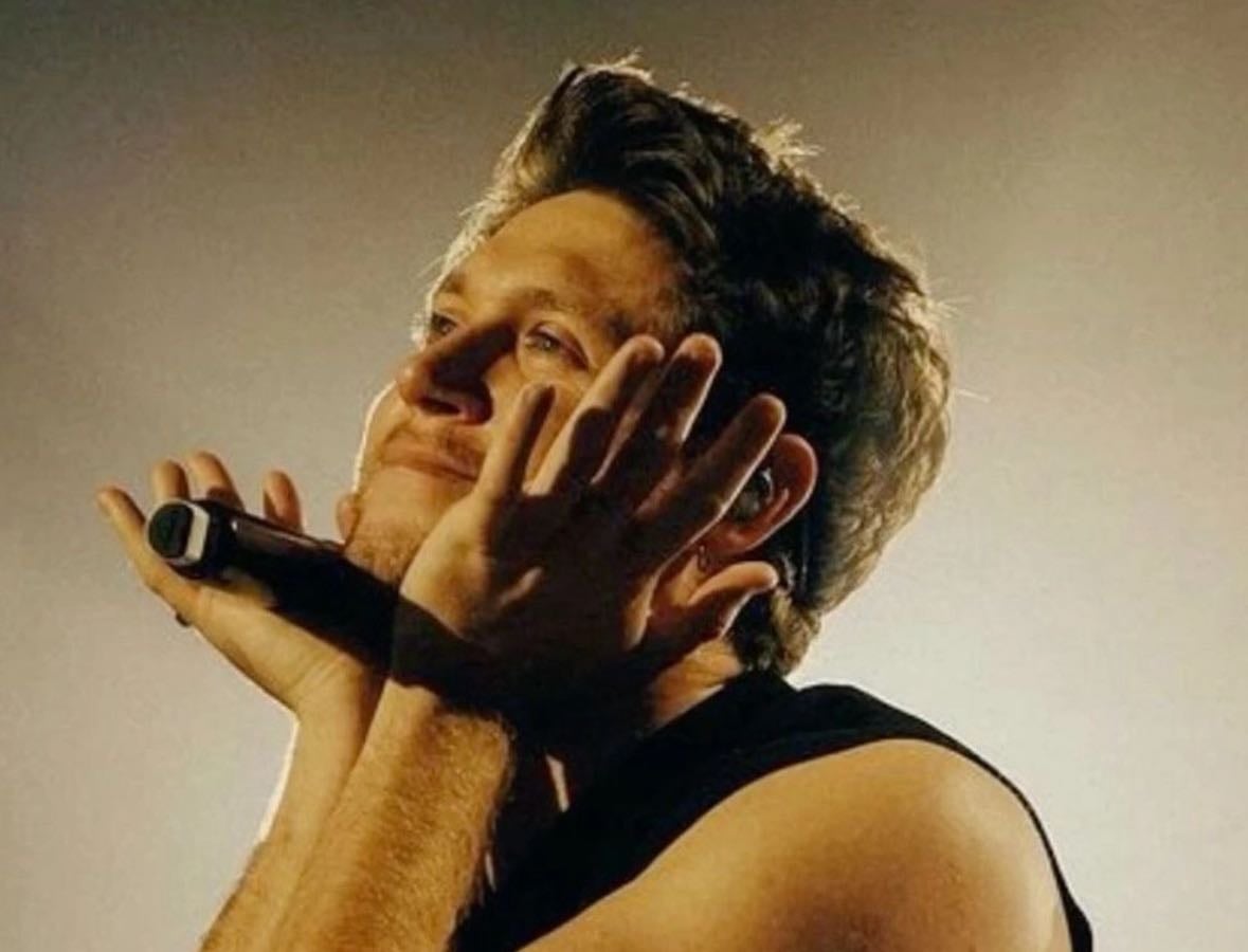 Niall Horan Favs