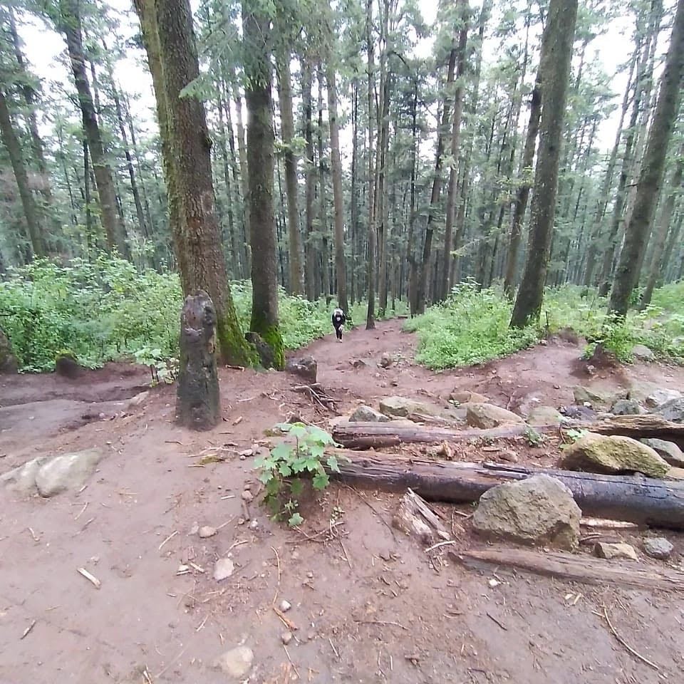 La Pila