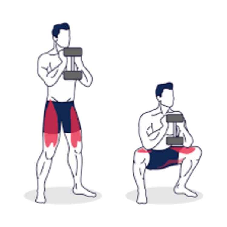 Goblet Squat - 3 x 15