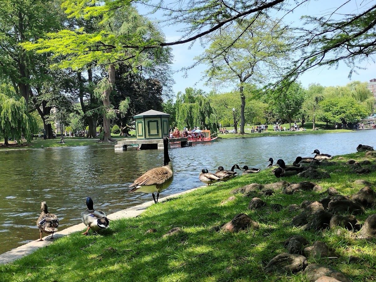 Boston Public Garden Flagpole