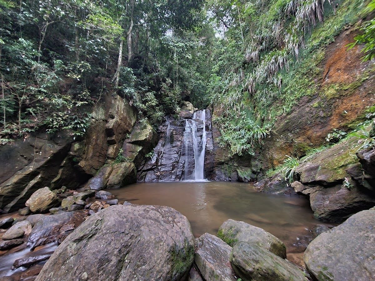 Cachoeira do Chuveiro - Horto RJ - Horto