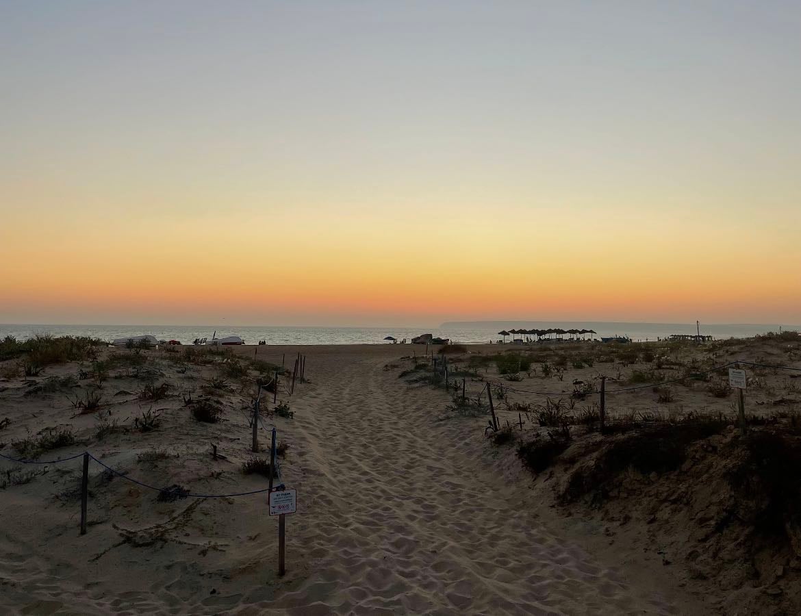 Zahara de los atunes / BBT