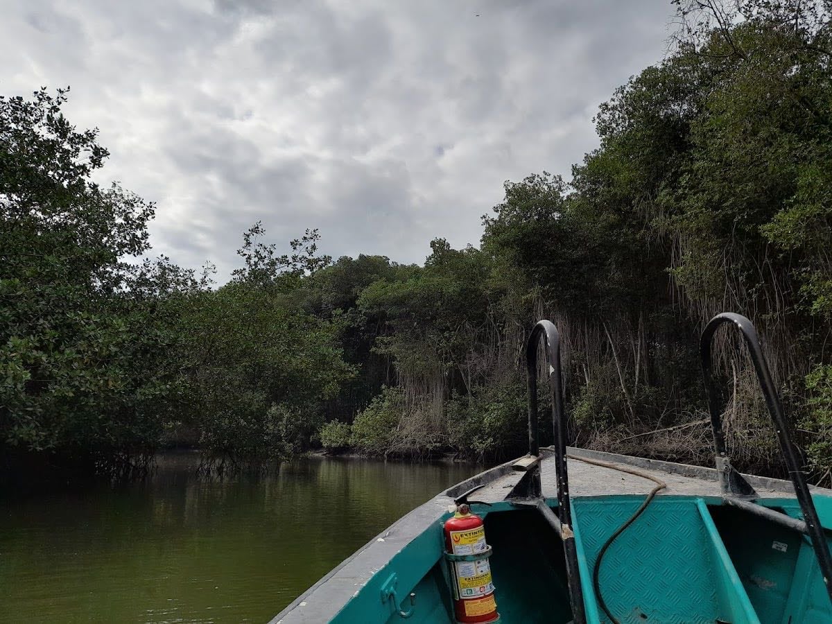 Puesto de Vigilancia y control Puerto 25, Santuario Nacional Los Manglares de Tumbes.