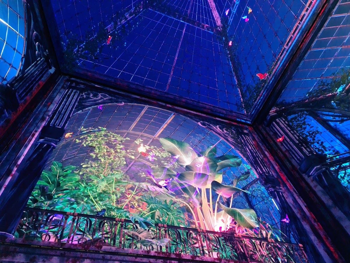 The Butterfly Trail at Outernet