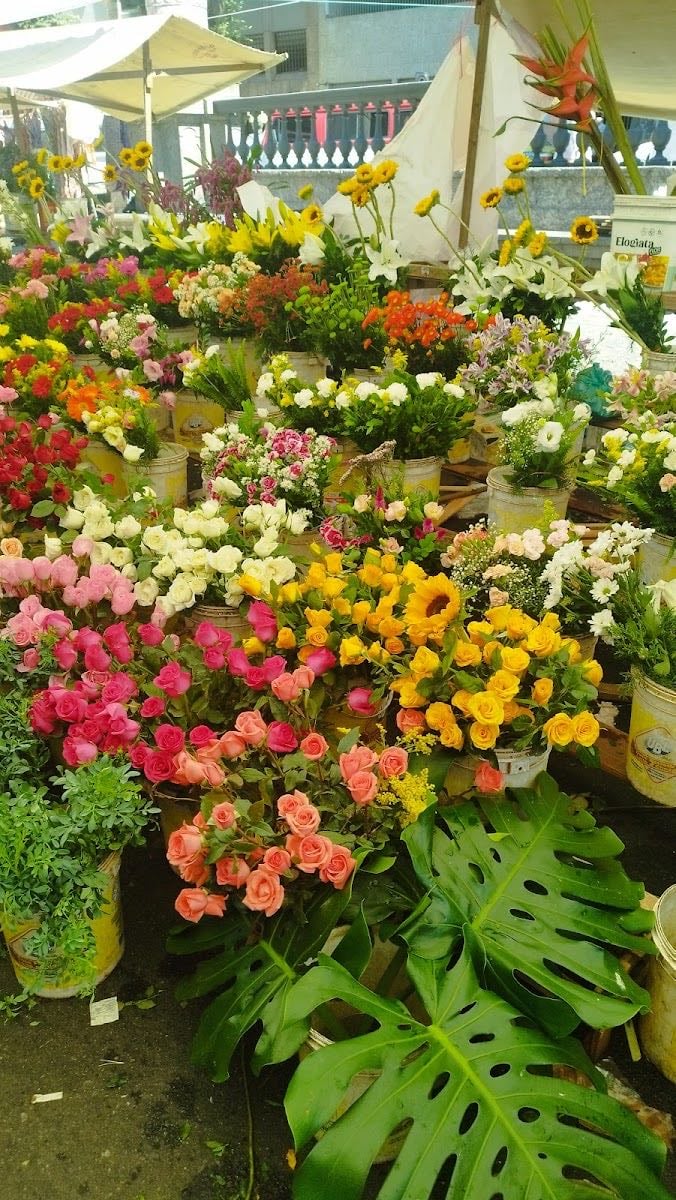 Feira Livre da Glória