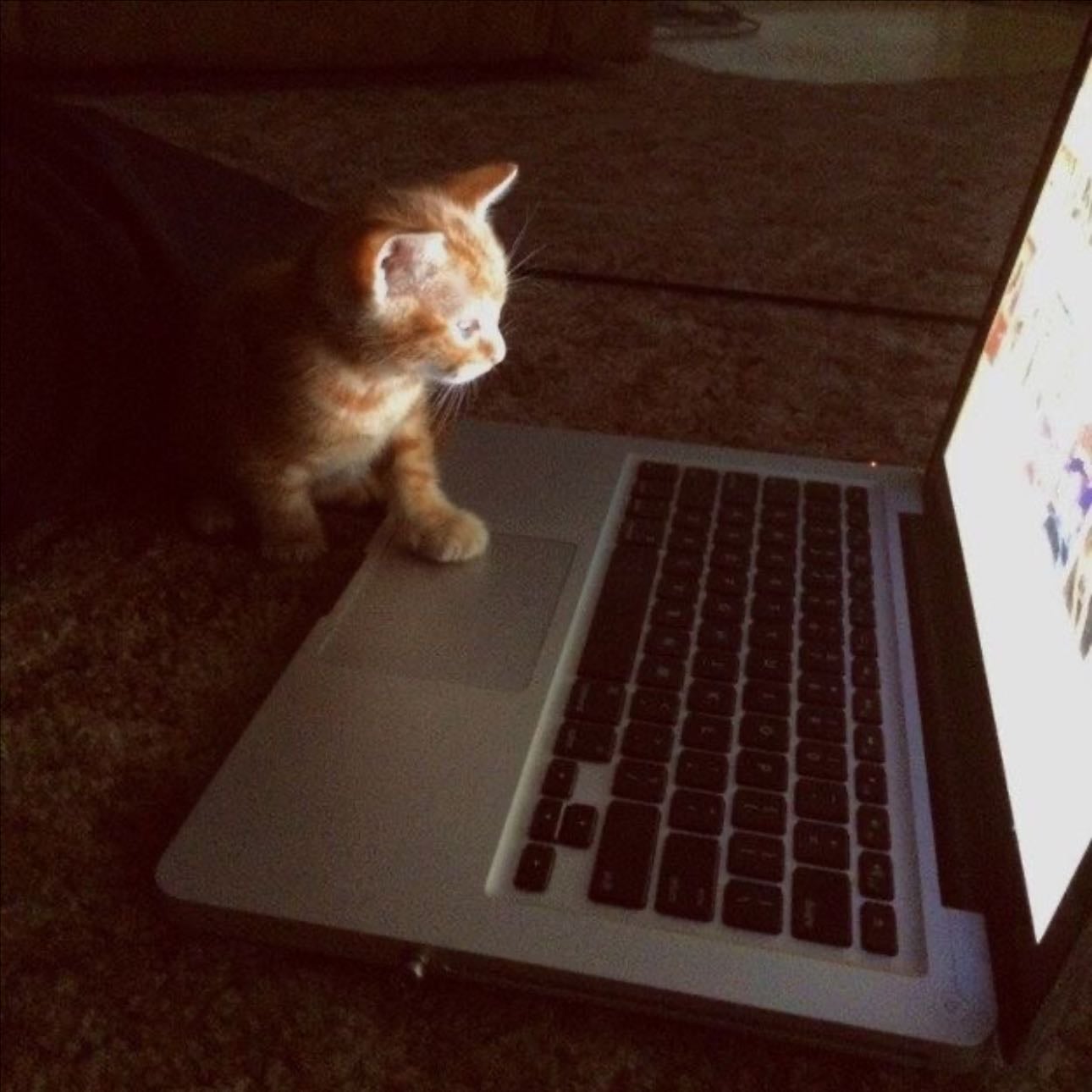 Binge watching