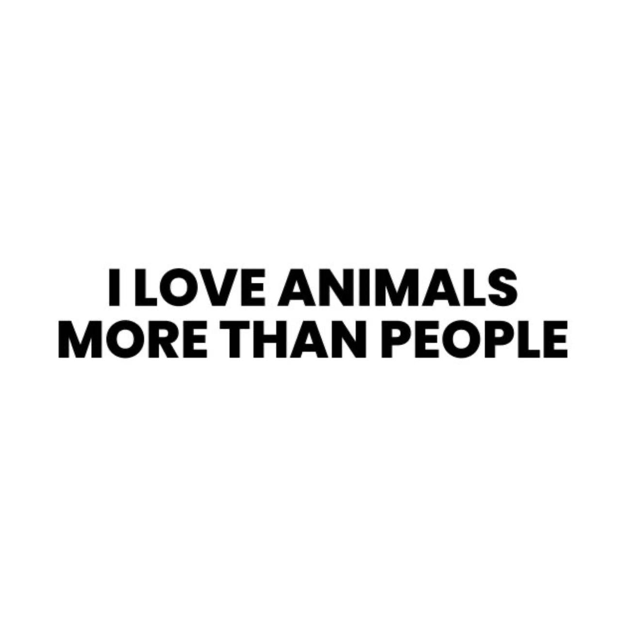 Animal lover