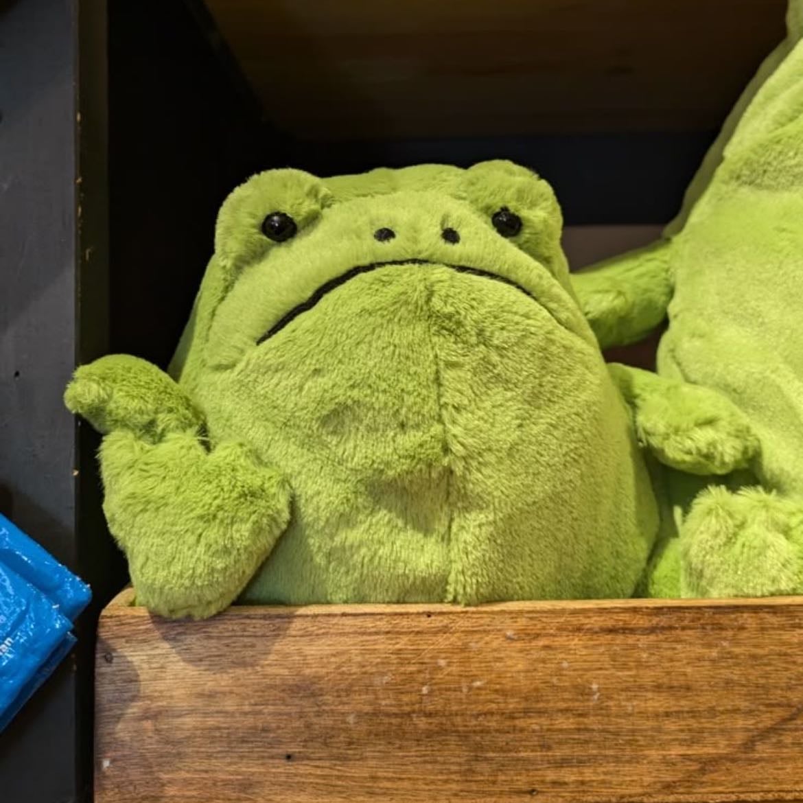grumpy frog jellycat - 30€