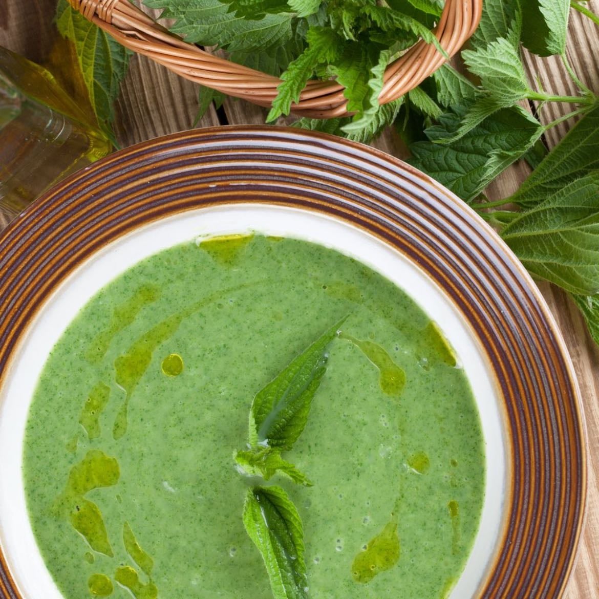 Soupe aux orties