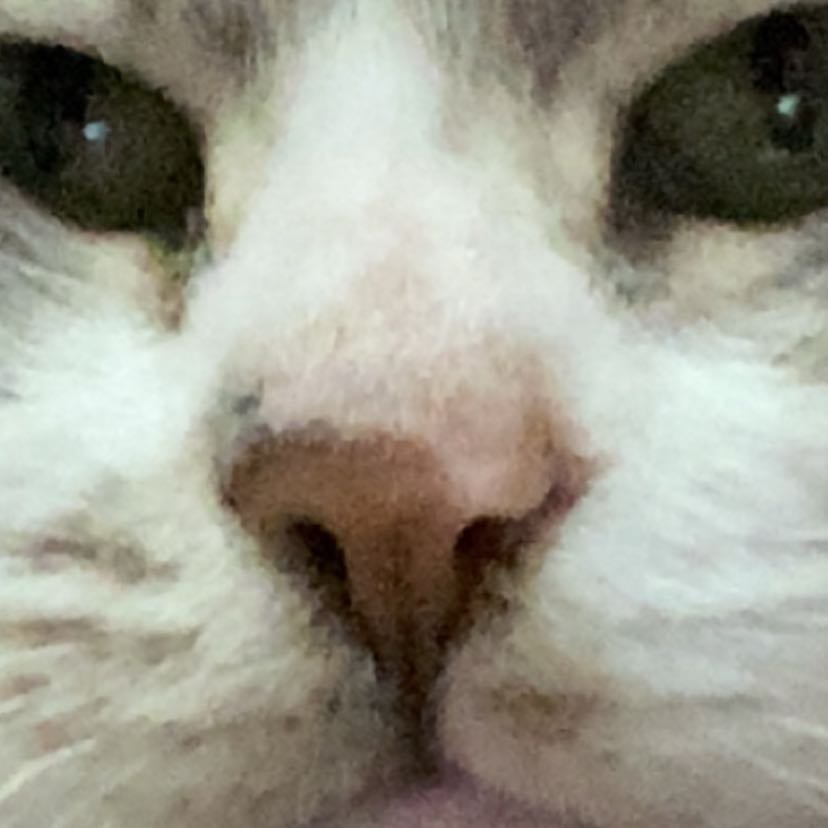 My period is killing me help