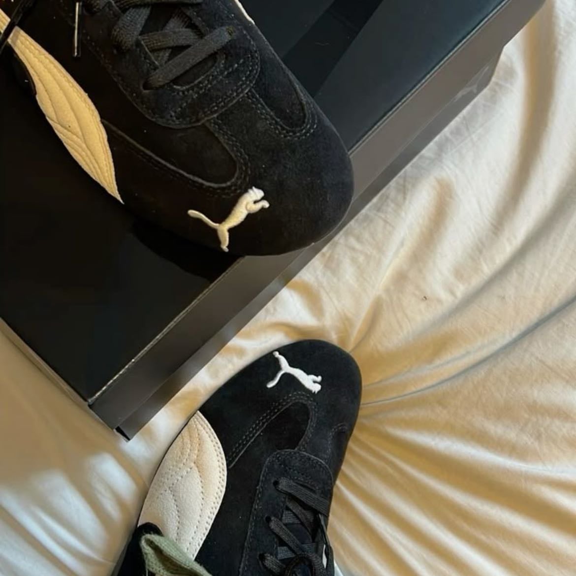 puma speedcat - $2199