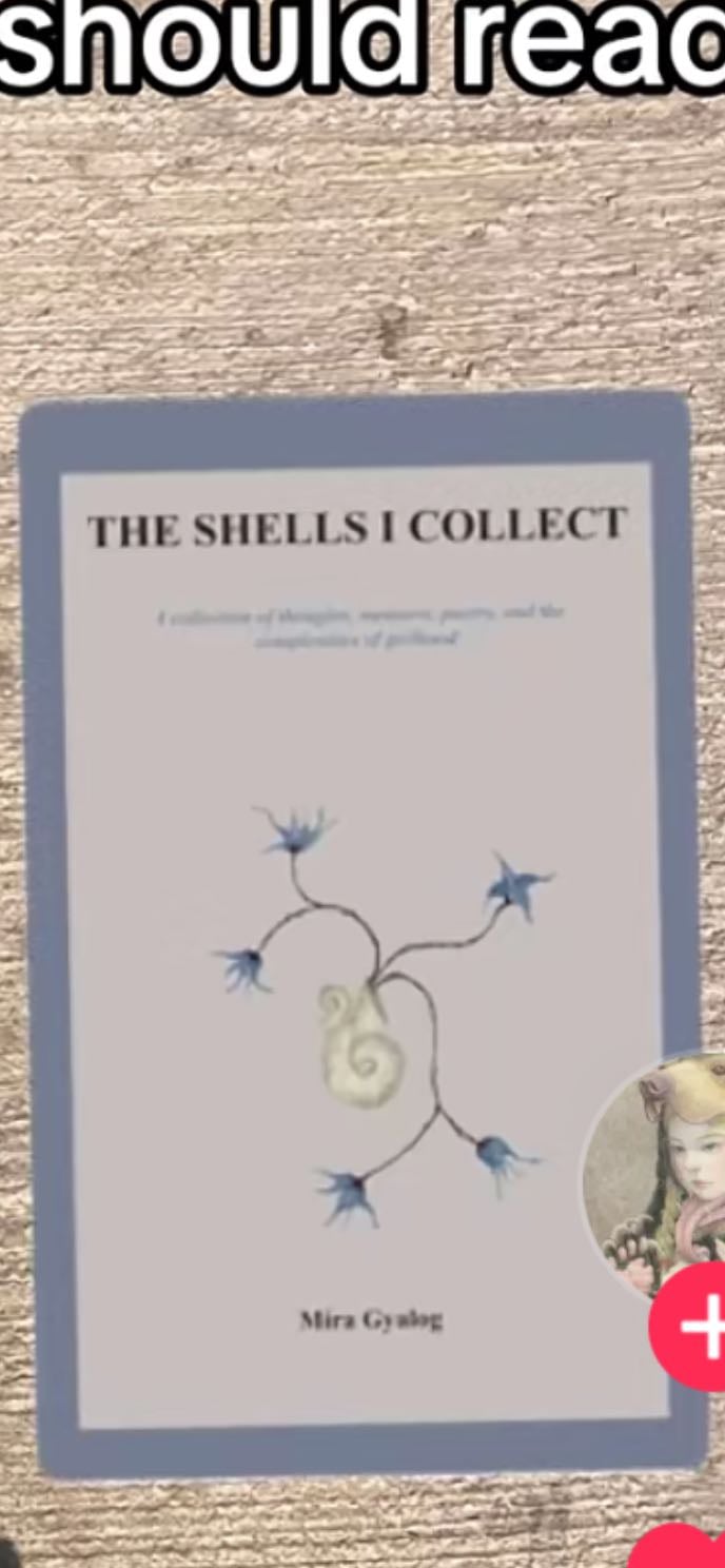 The shells I collect