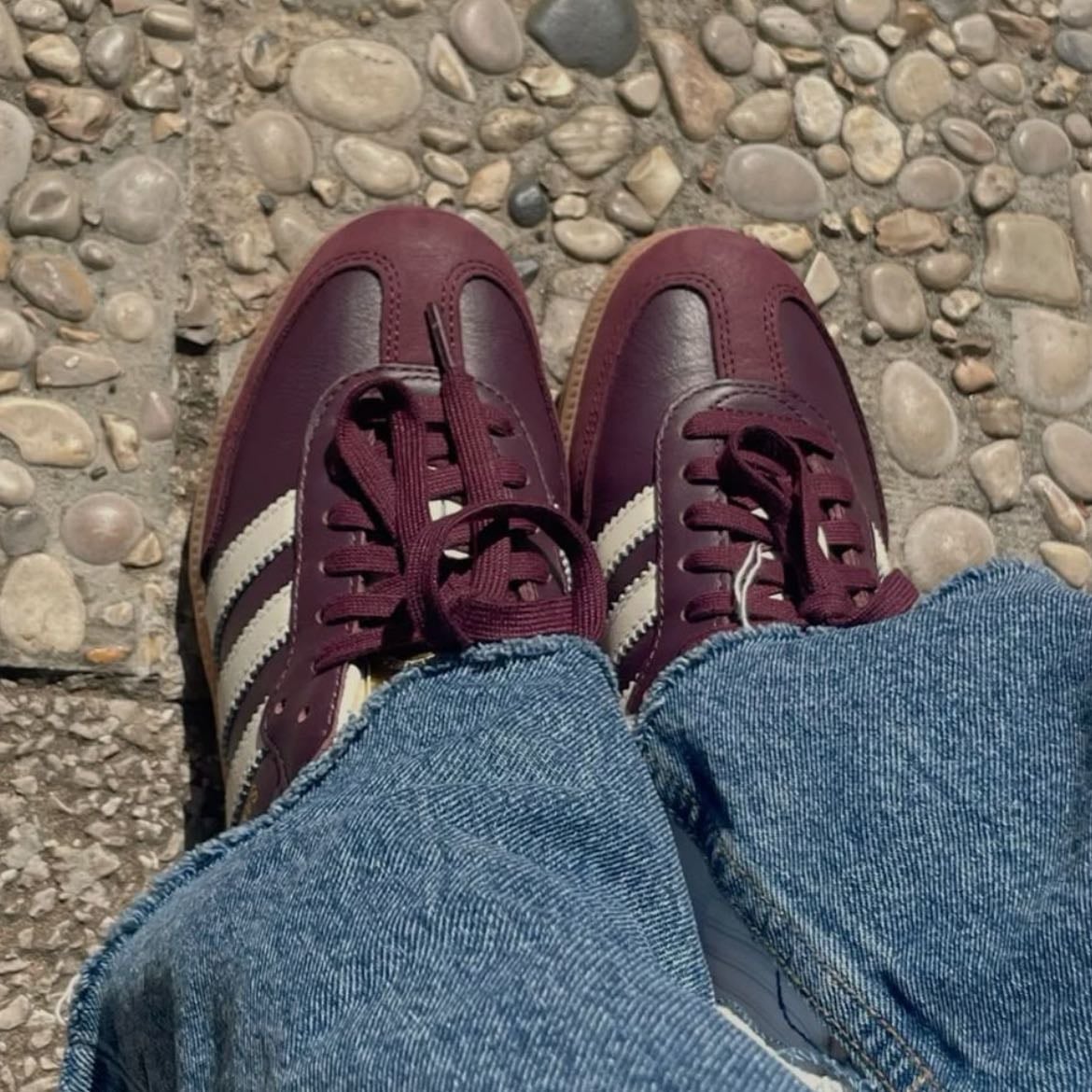 sambas wine red