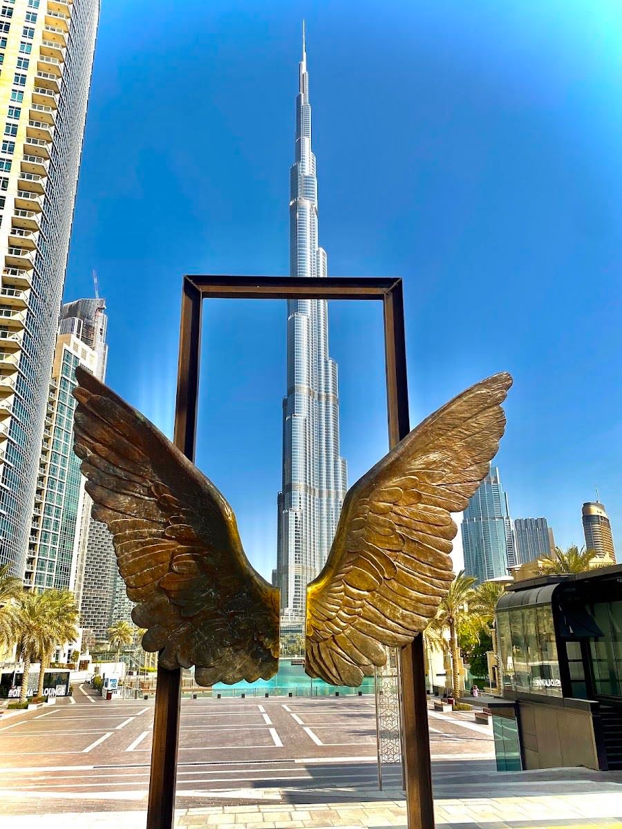 Wings of Mexico