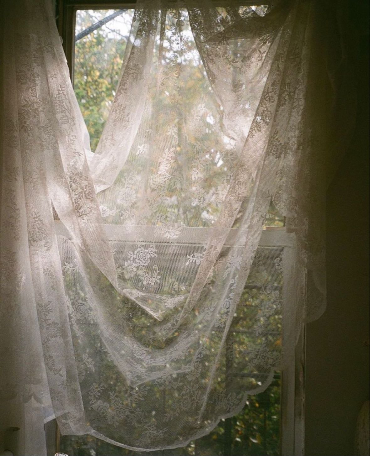 lace curtain