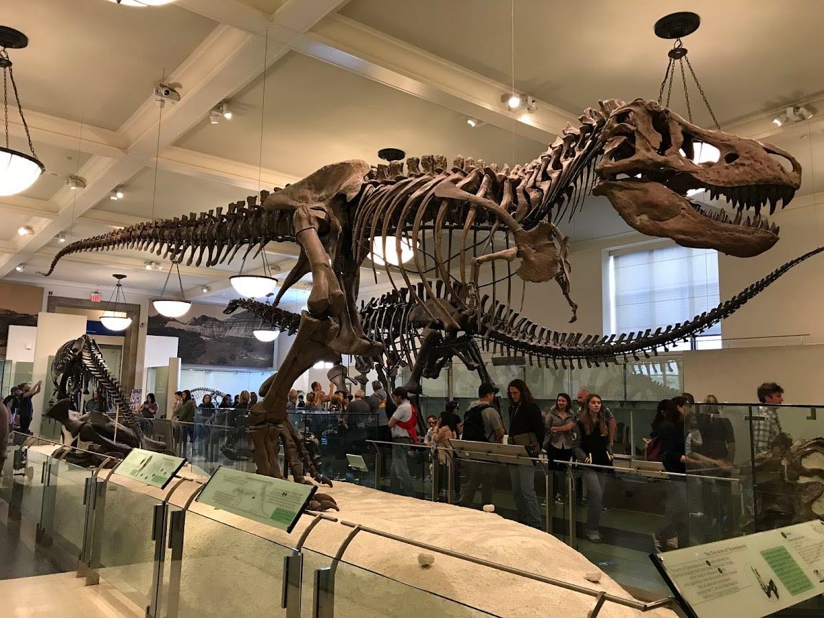 American Museum of Natural History