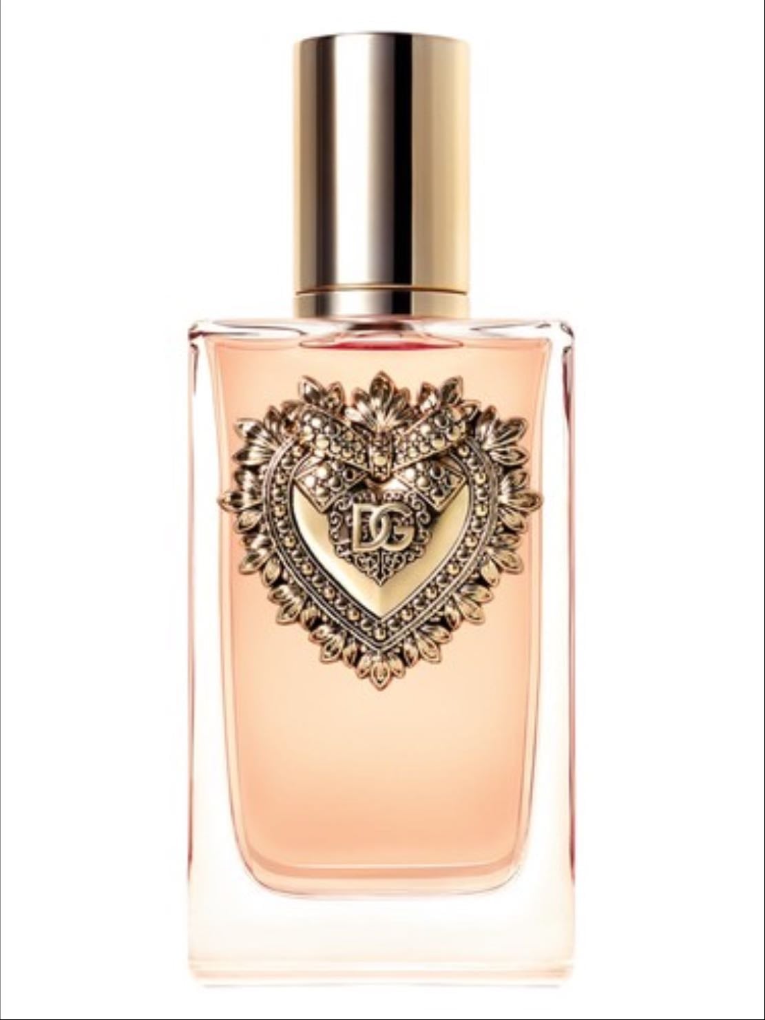Devotion D&G - En cours