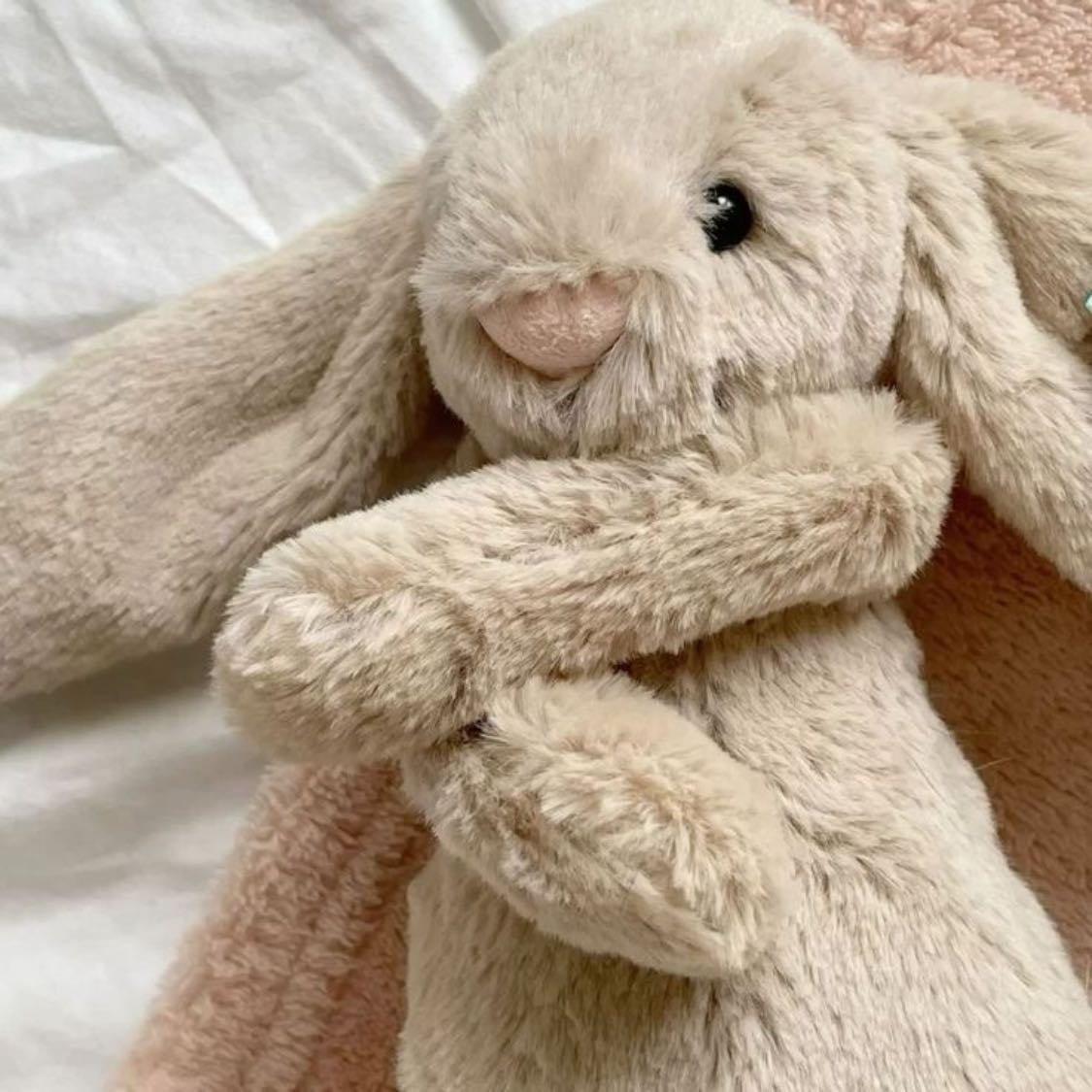 bunny teddy