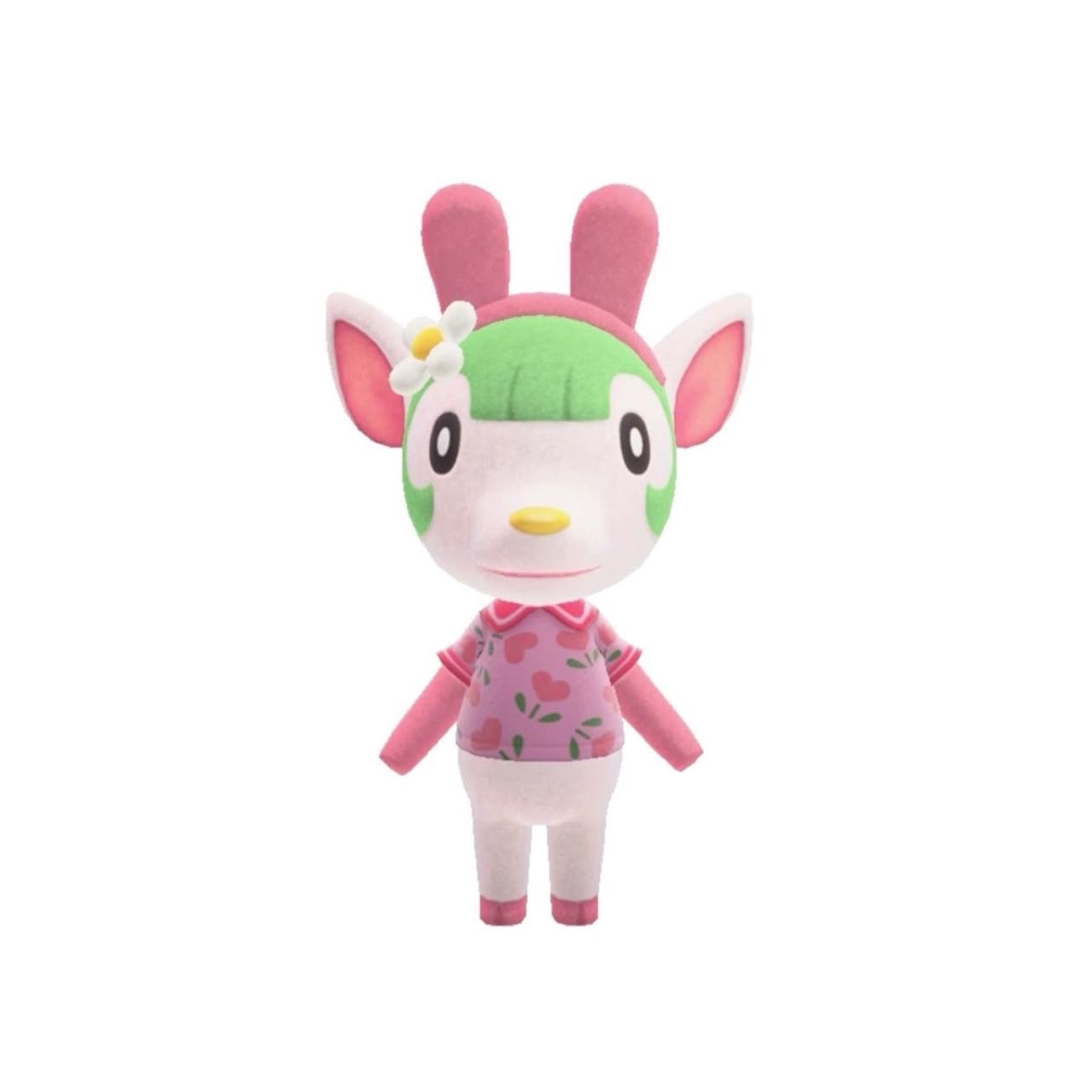 Chelsea - Cierva de personalidad dulce su cumpleaños es el 18 de enero.