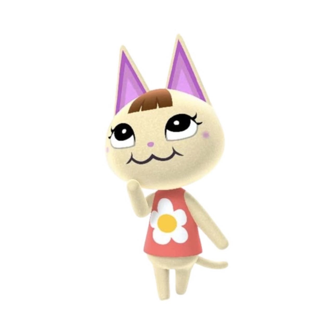 Susi - Gatita de personalidad vivaracha su cumpleaños es el 29 de junio.