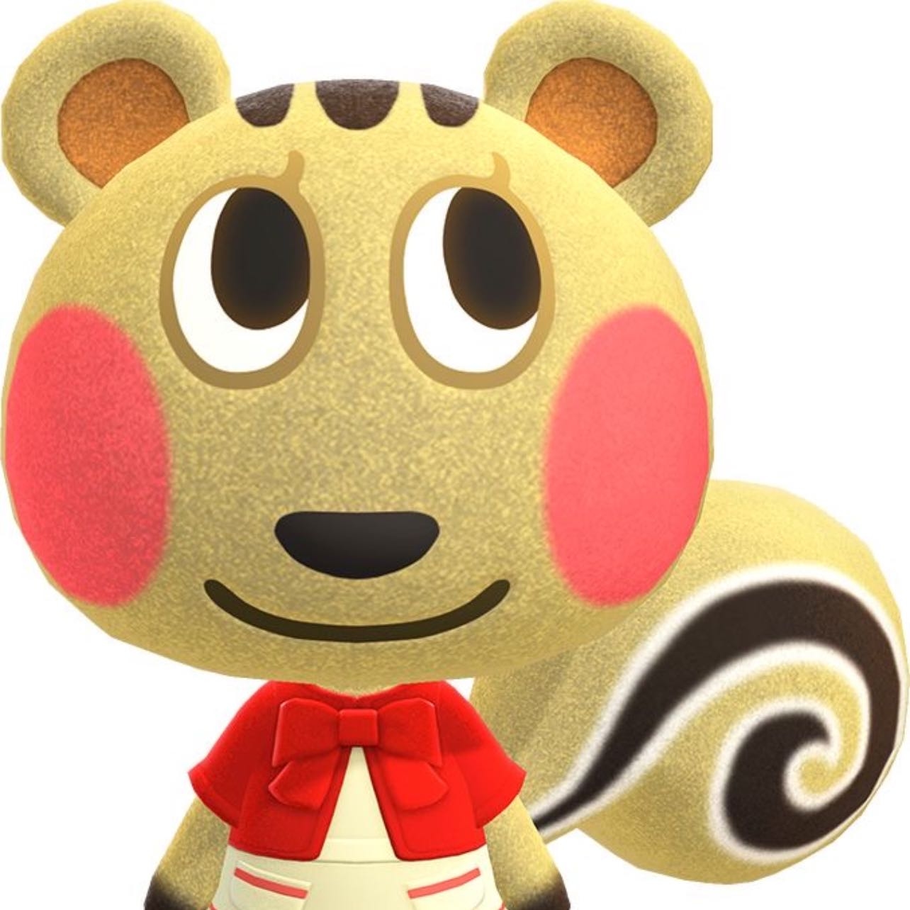 Almendra/Cally - Ardilla de personalidad dulce su cumpleaños es el 4 de septiembre.