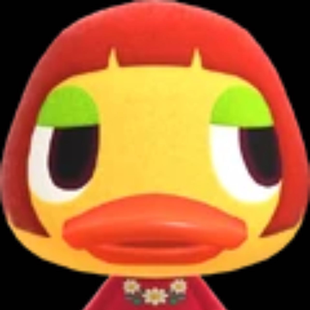 Patidifú - Patita de personalidad presumida su cumpleaños es el 8 de abril.