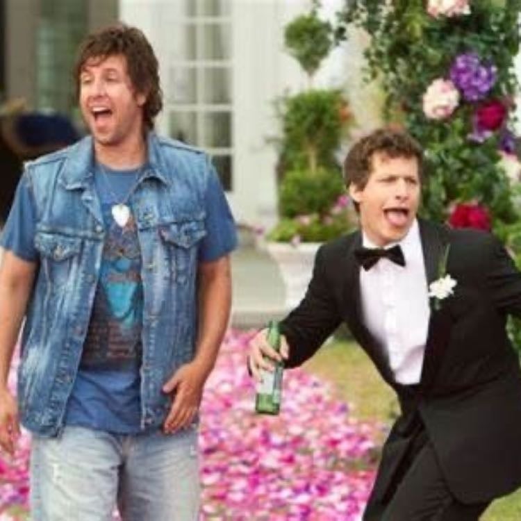 that’s my boy - Sean Anders · 2012