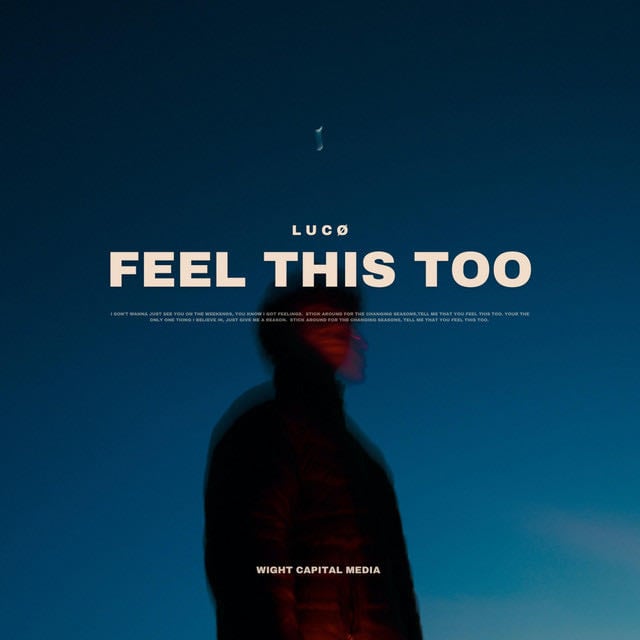 Feel This Too - Song 路 LUC脴