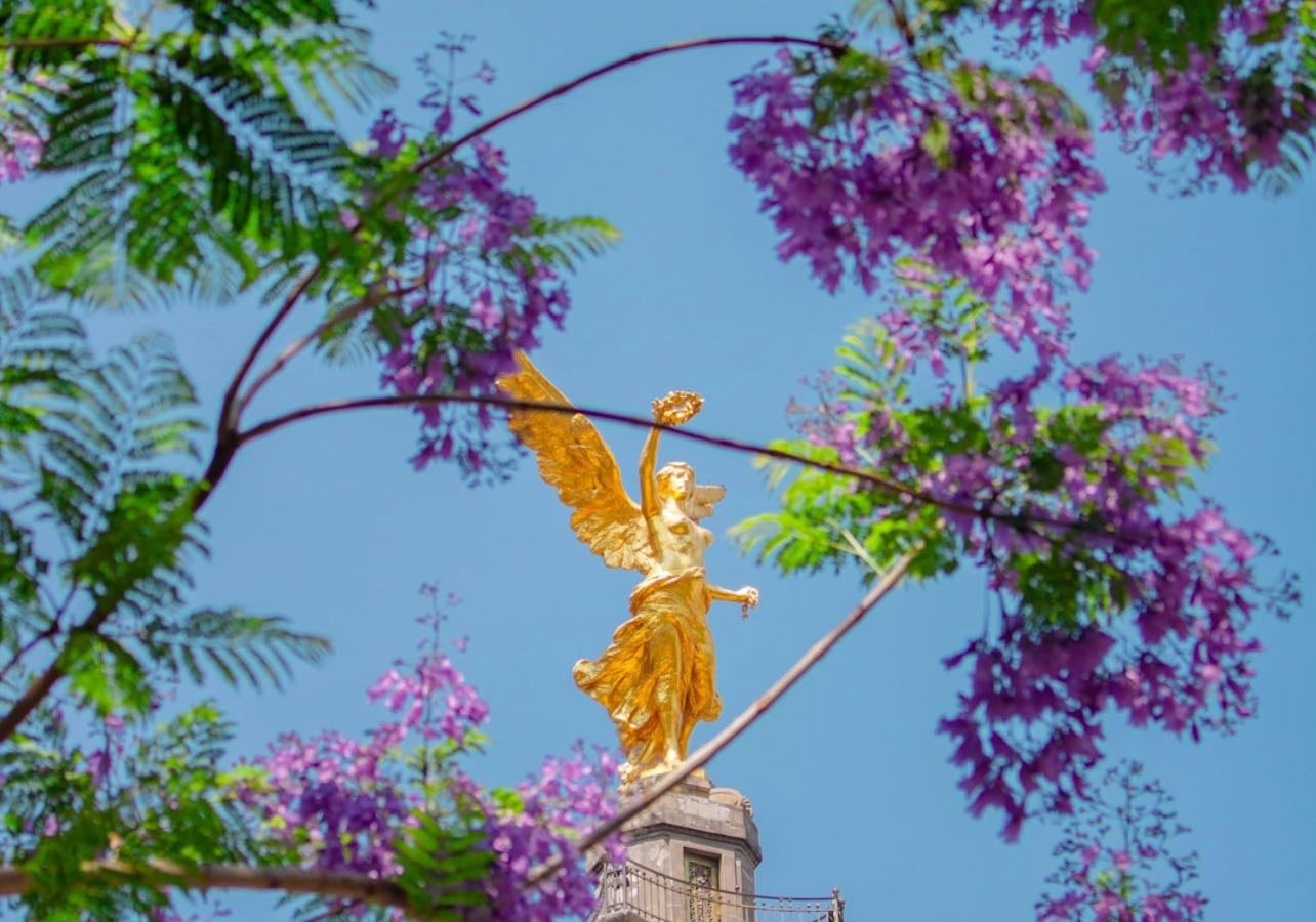 CDMX