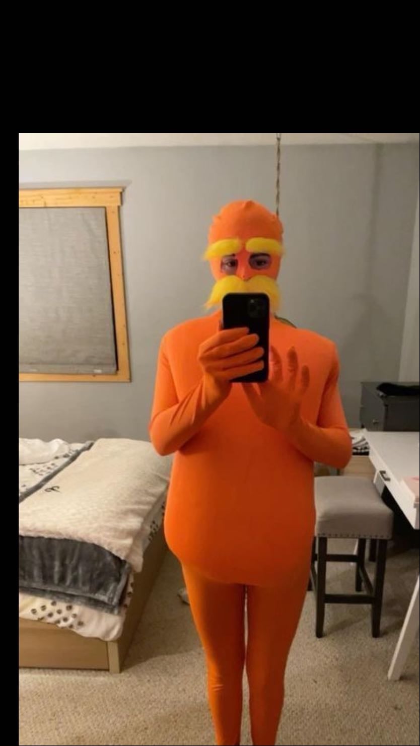 lorax disfraz