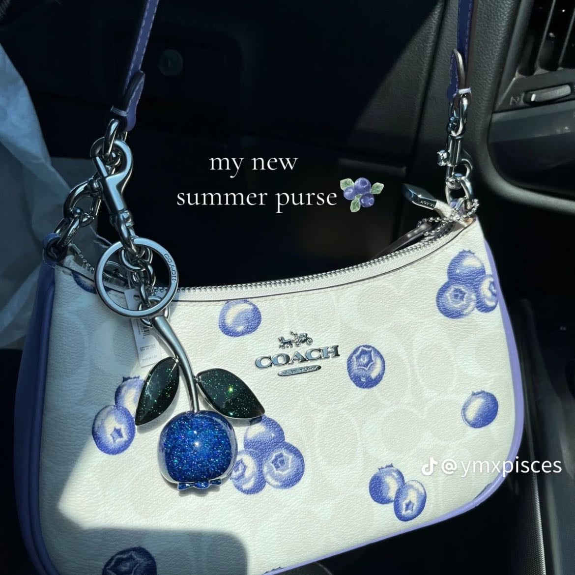Blueberry coach purse
