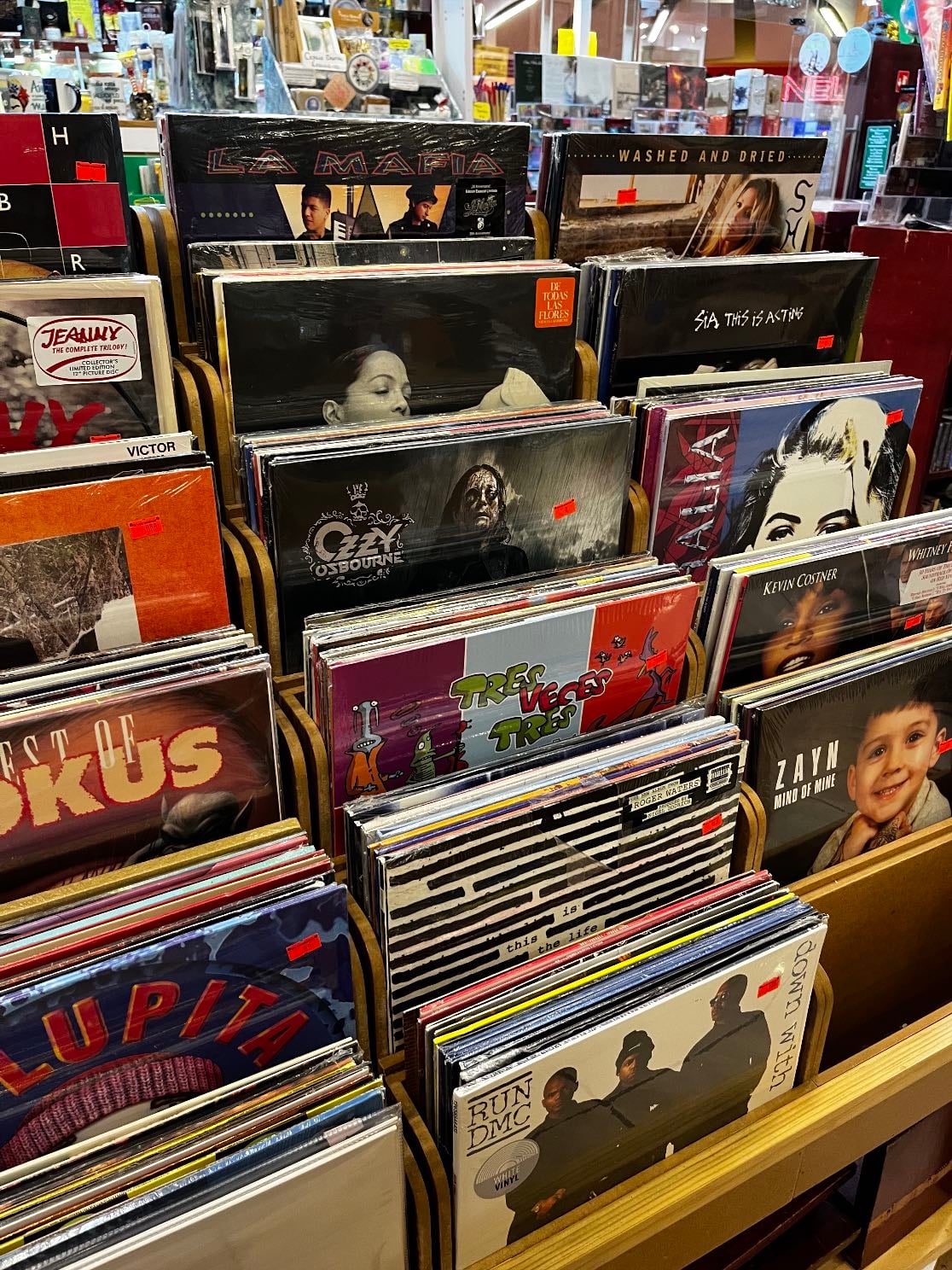 ir a una librería/tienda de vinilos
