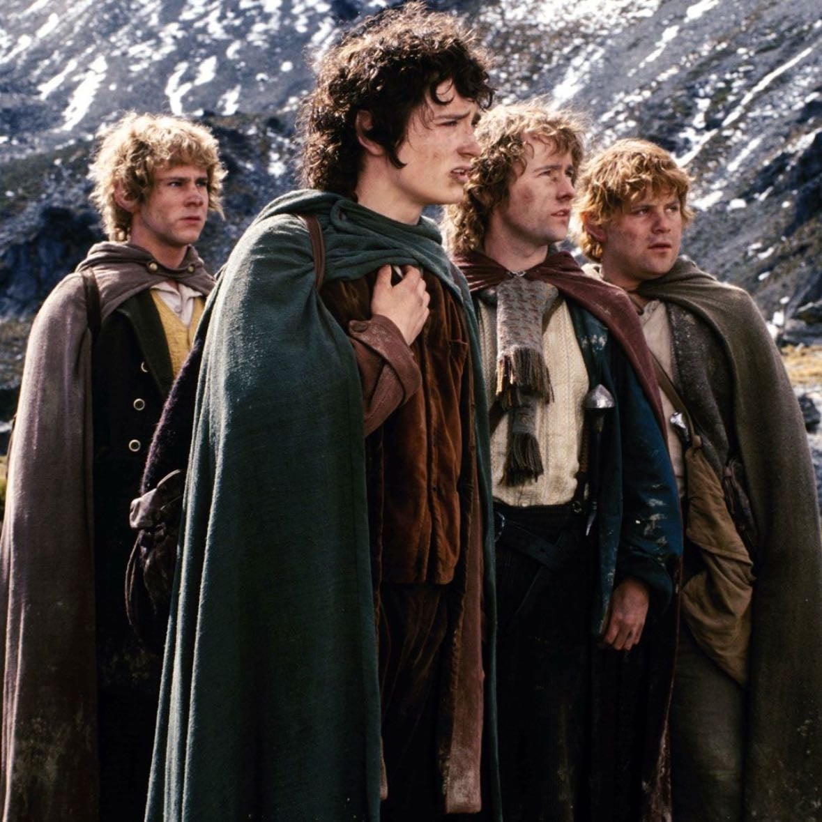 The Lord of the Rings: The Fellowship of the Ring - Peter Jackson · 2001