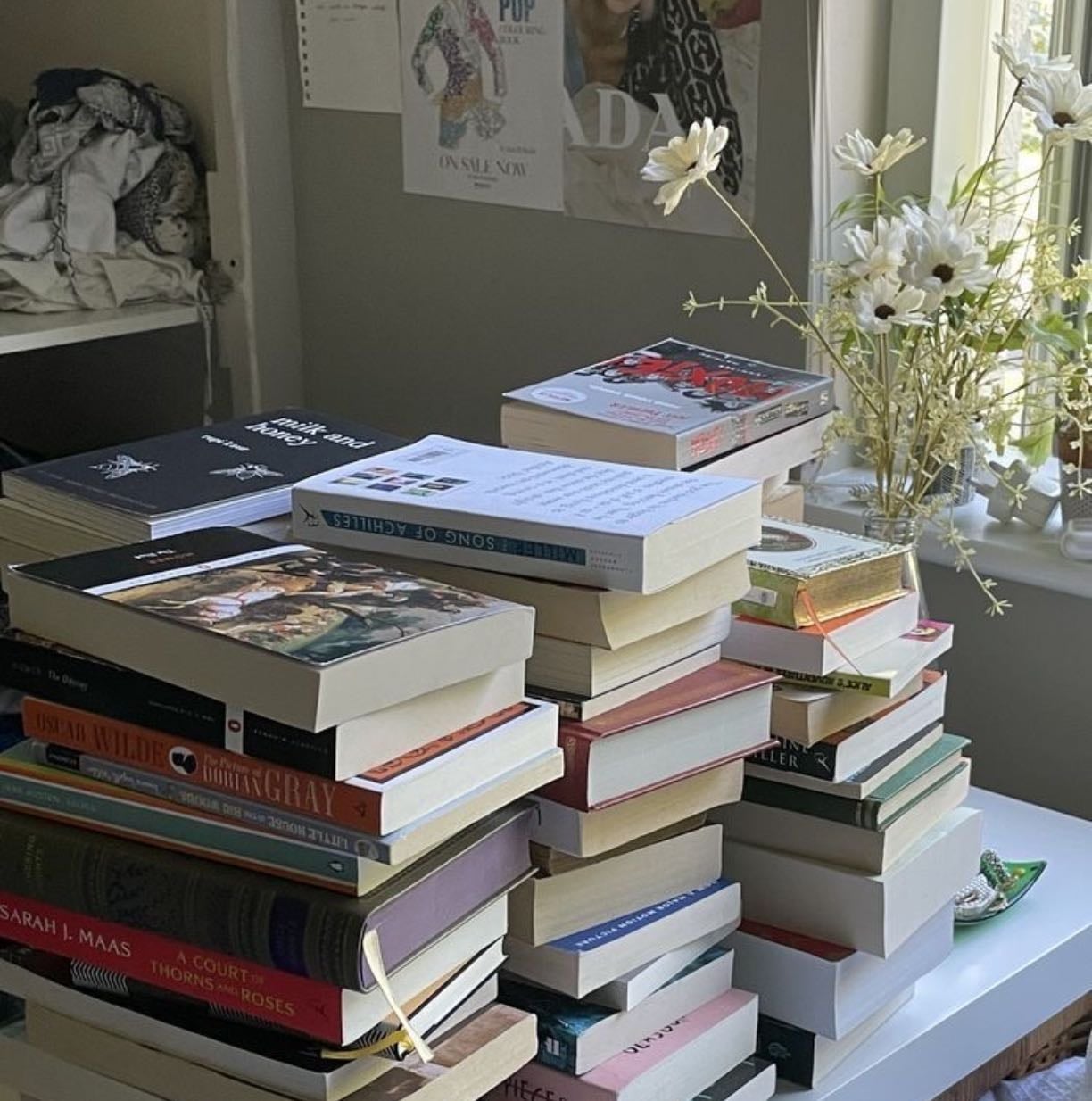 Libros 📚✨
