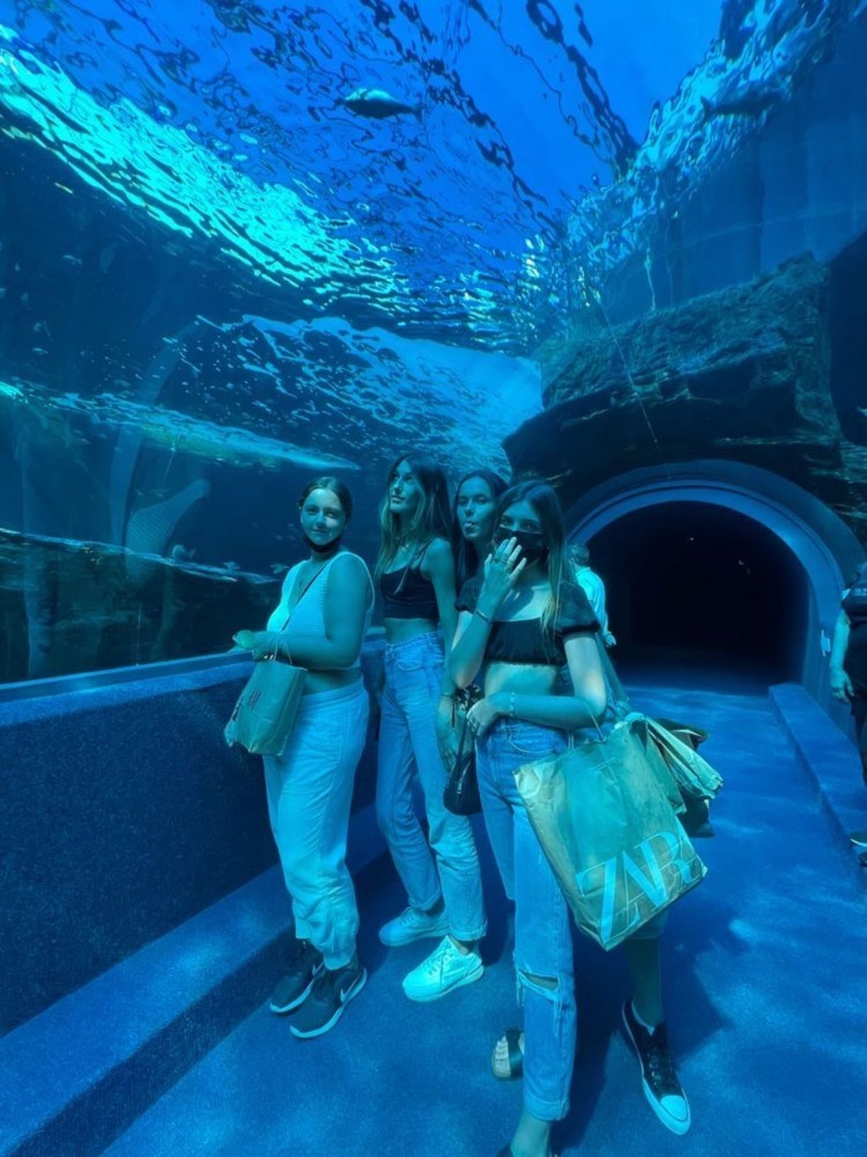 Ir al acuario