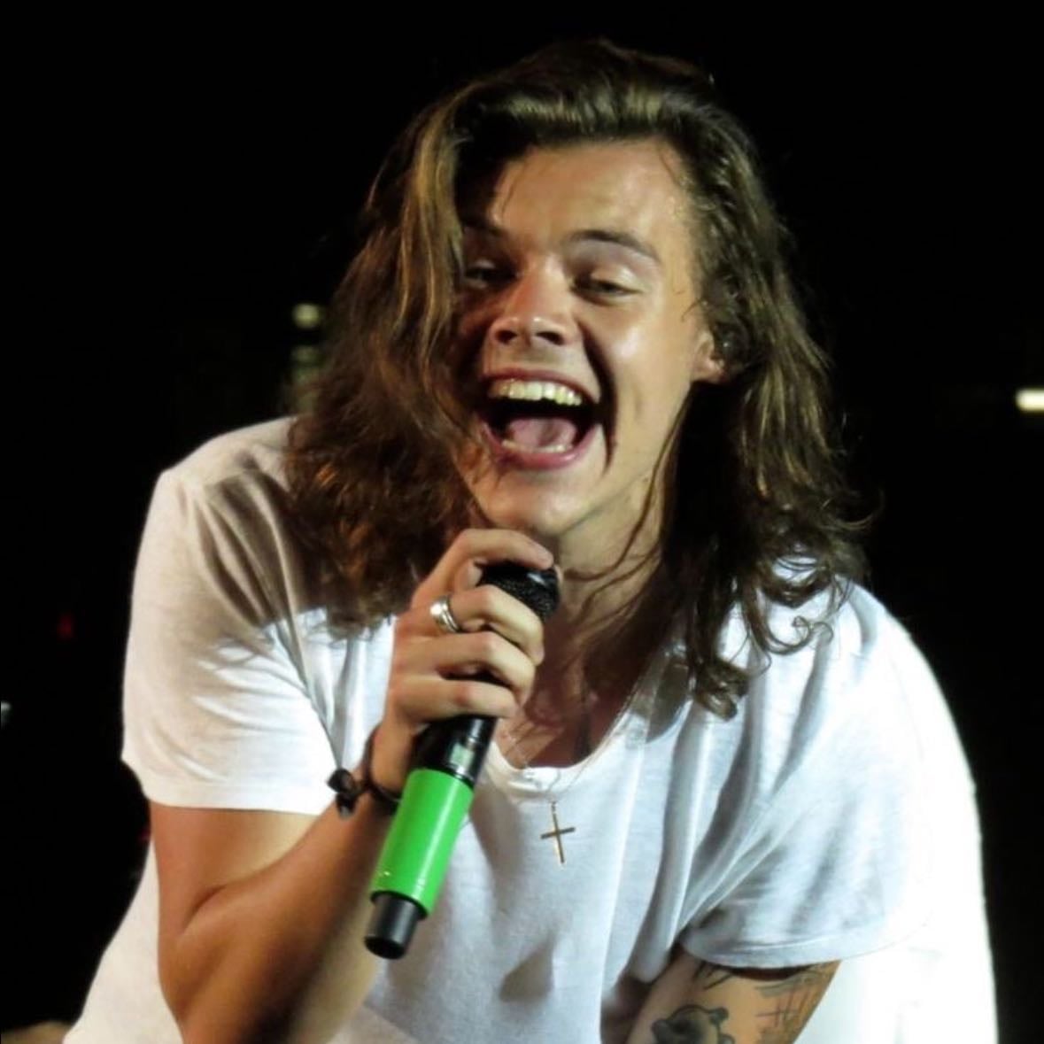 “If you’re happy doing what you’re doing, then no one can tell you you’re not successful.” - -harry styles