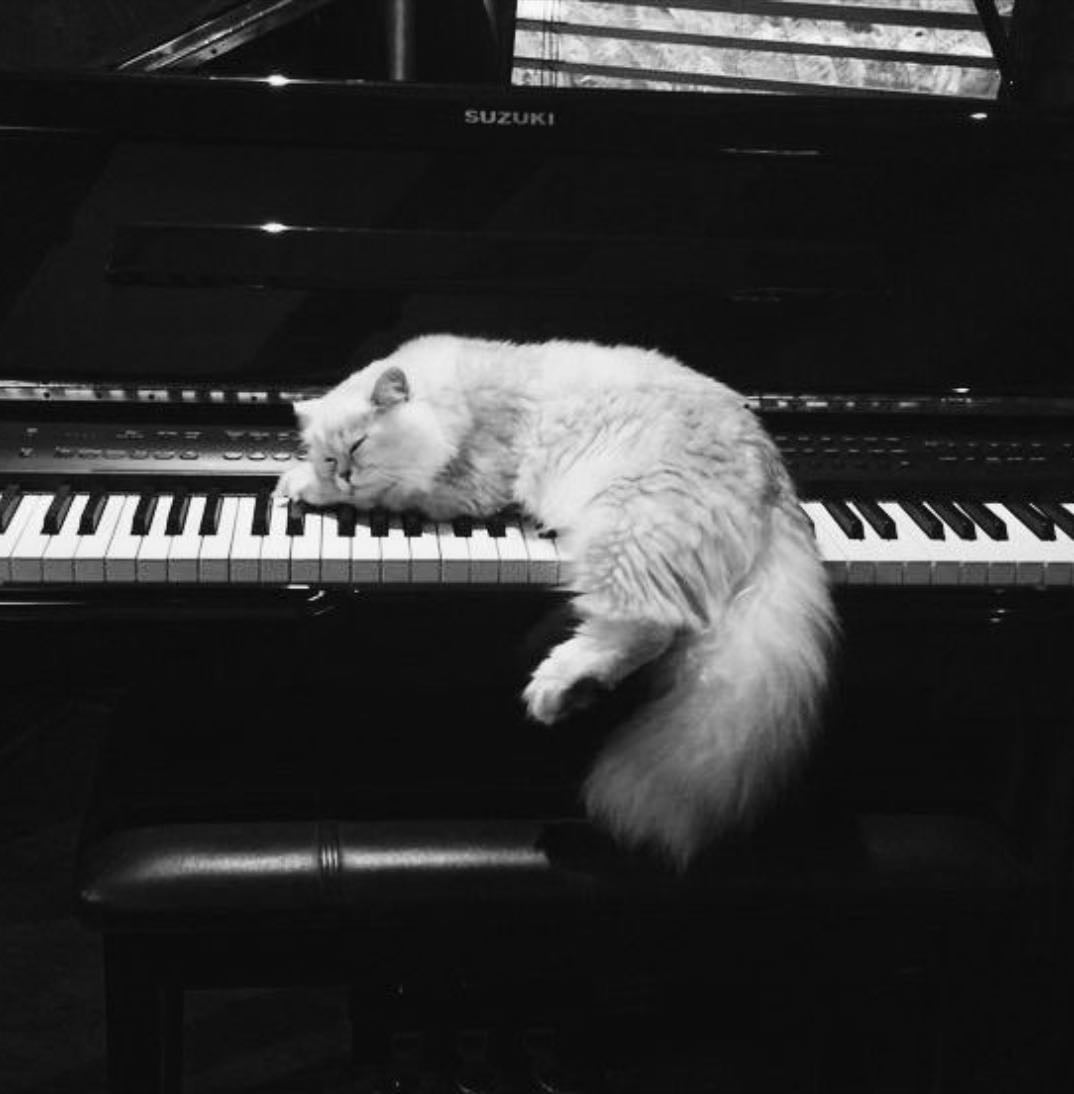 meow🐾 - Movies hypelist by tammi✧