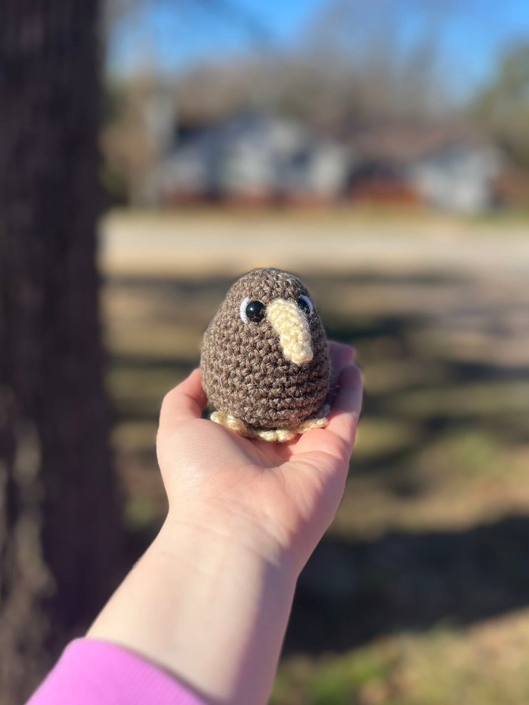 Crochet Kiwi bird