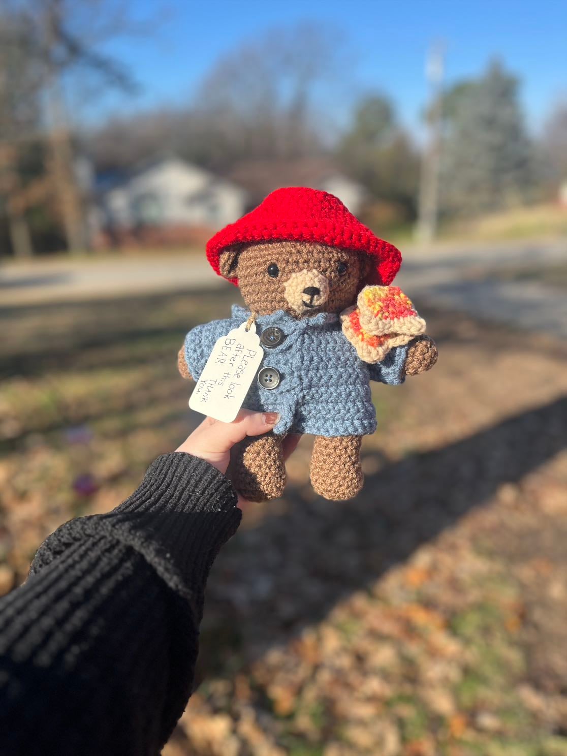 Crochet Paddington Bear
