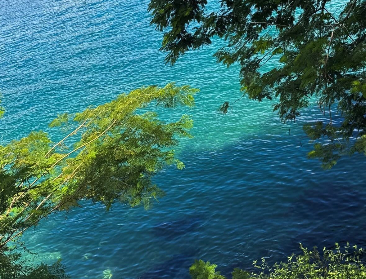 ilha grande