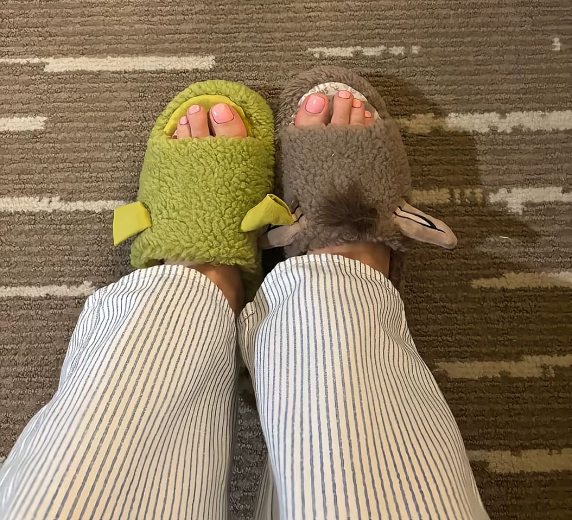 Pantuflas de burro y shrek