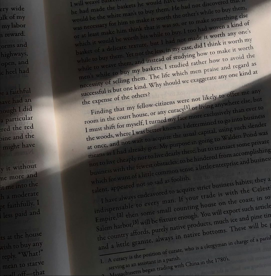 livros