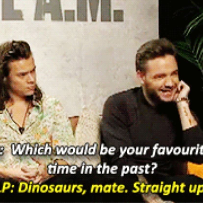 Dinasours mate, straight up - What is going on in this kids brain..