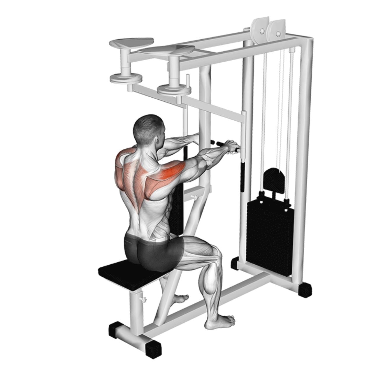 Hombro posterior en máquina