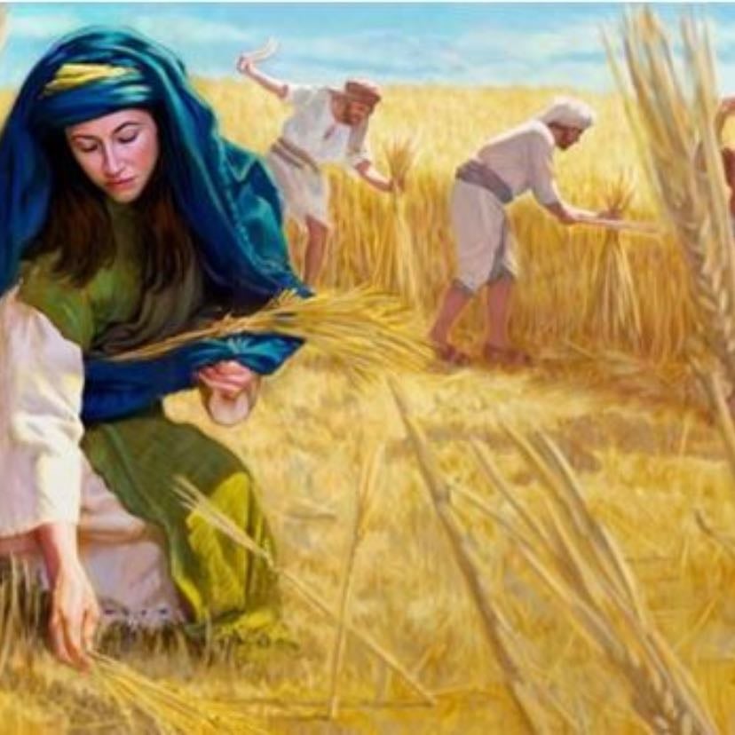 Ruth - God’s Providence and Redemption Through a Foreign Woman