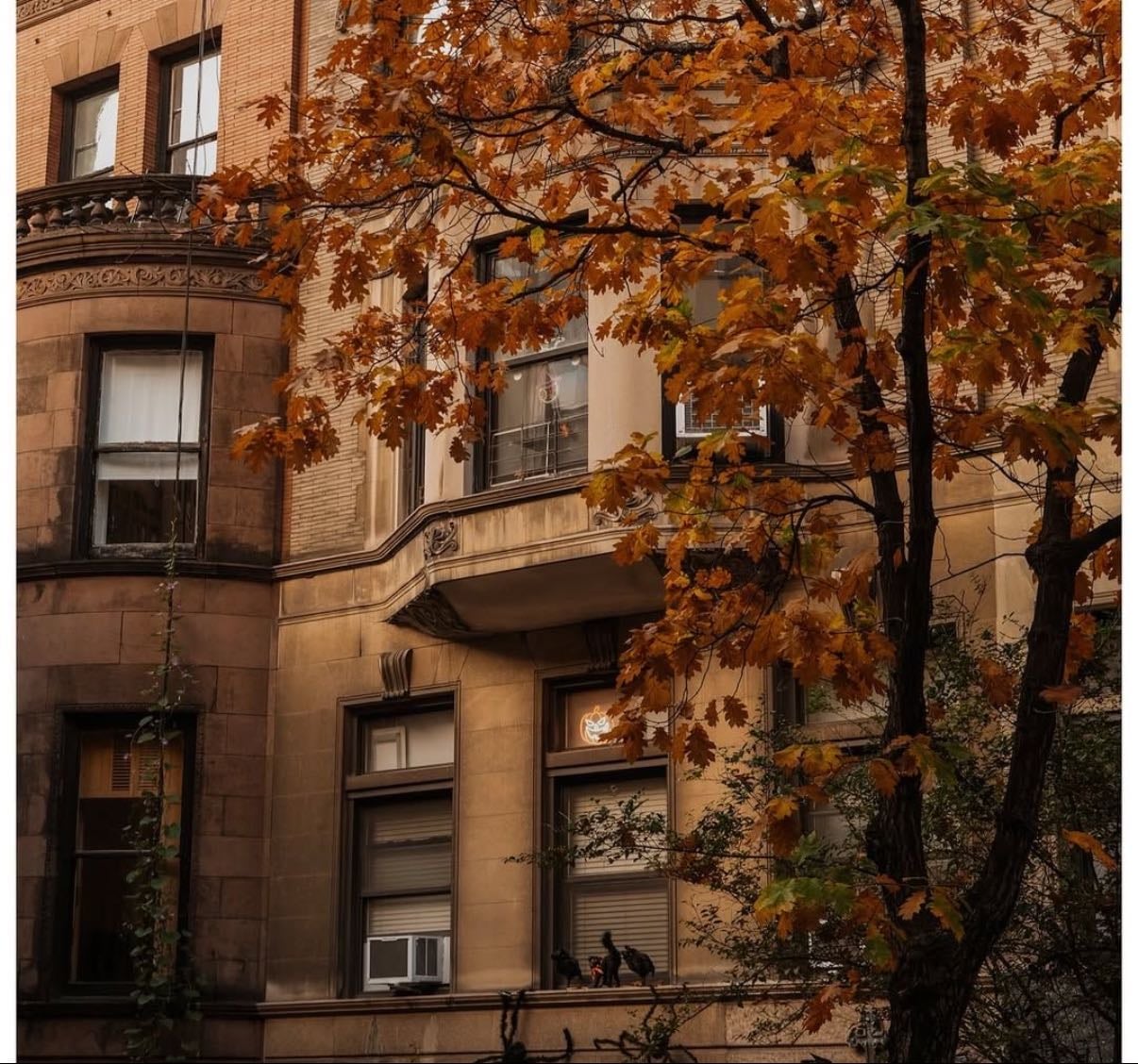 Autumn playlist - Music hypelist by Mylanea
