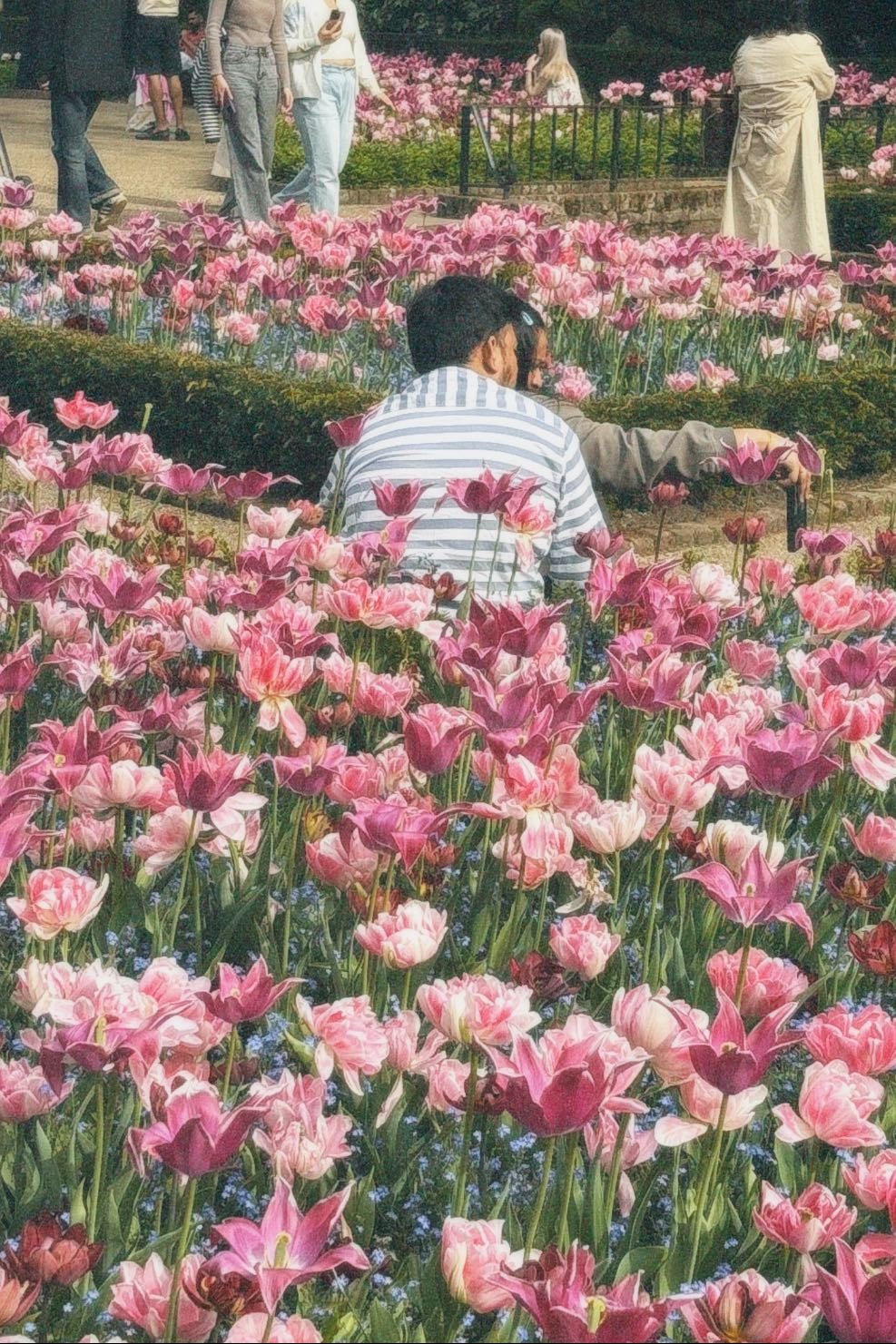 nostalgia - your experiences form your being, one day you might forget them.