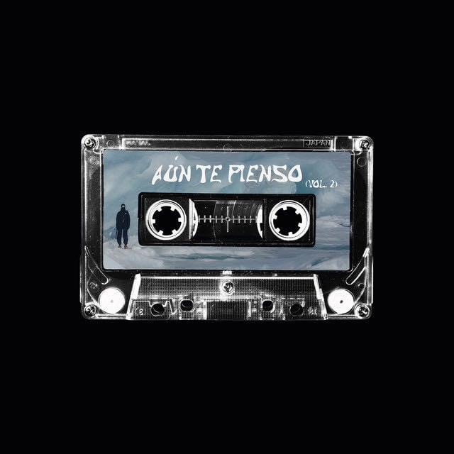 AÚN TE PIENSO (Vol. 2) - Album · Mario Santander