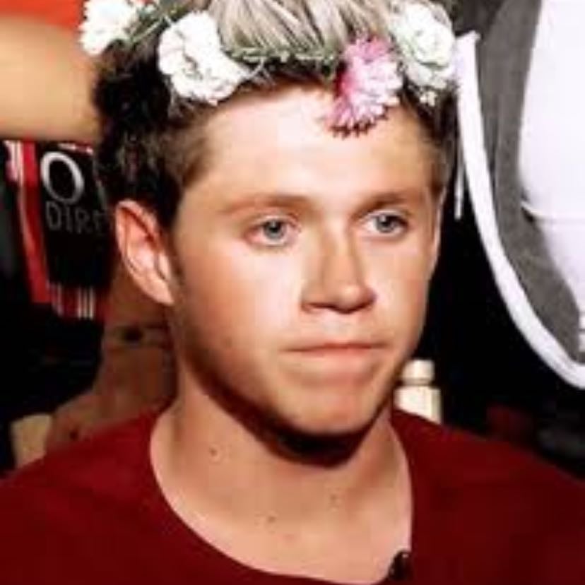 Niall the gun